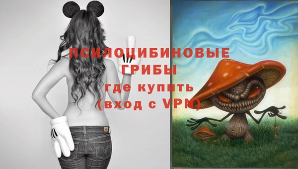винт Бугульма