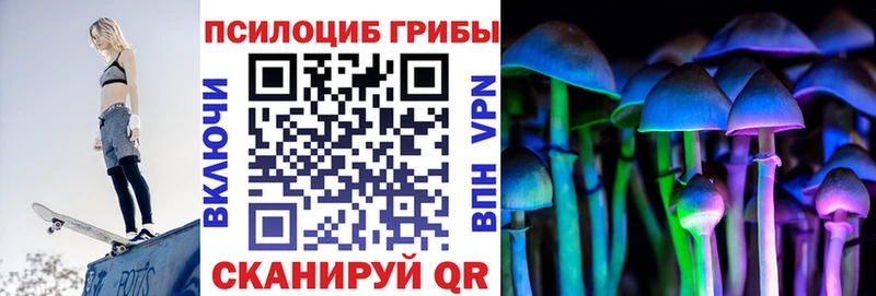 Псилоцибиновые грибы MAGIC MUSHROOMS  дарнет шоп  гидра вход  Новодвинск 